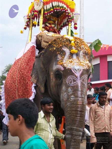 File:20111015 Photo 1245 18cLbIP6-dx28vgcNs2pVL6CWRXtn-PVk.JPG