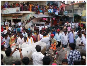 20111015 Photo 1298 1nqUOYZX-vW-vhFxN -iZbLUBu t5SZXg.JPG