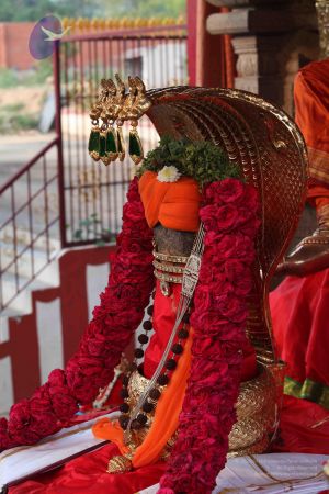 20111018 Photo 1008 1iMHj2- oPeGPXYfsZJG7ZJJ0mdFfSWBz.JPG