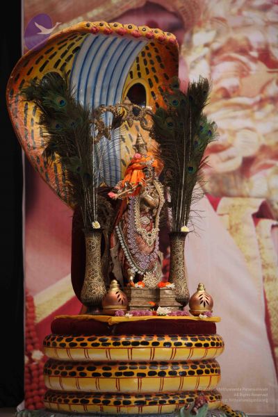 File:20111019 Photo 1049 1Xrh4Gm19qclUzy5 sLUHD190dOD5KaWY.JPG