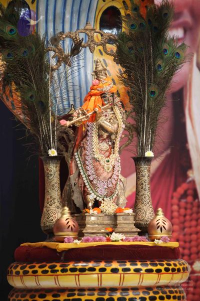 File:20111019 Photo 1052 1YQIZ7CZ5LoVigDWDnfh4JvneLUU-xEYO.JPG