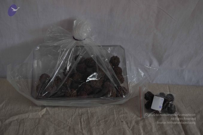 20111024 Photo 1127 1kjI7S6hOEMaXNoHEhIO9WIu8ZbD3-xhM.JPG