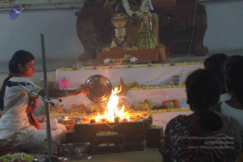 File:20111026 Photo 1034 103KvhJRgtVuMERPiYdAGPKthfd0CU4H9.JPG
