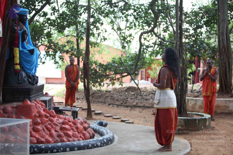 File:20111027 Photo 1015 1rICR4tzj2txhmUEOPwNz47PcSSiljtE0.JPG