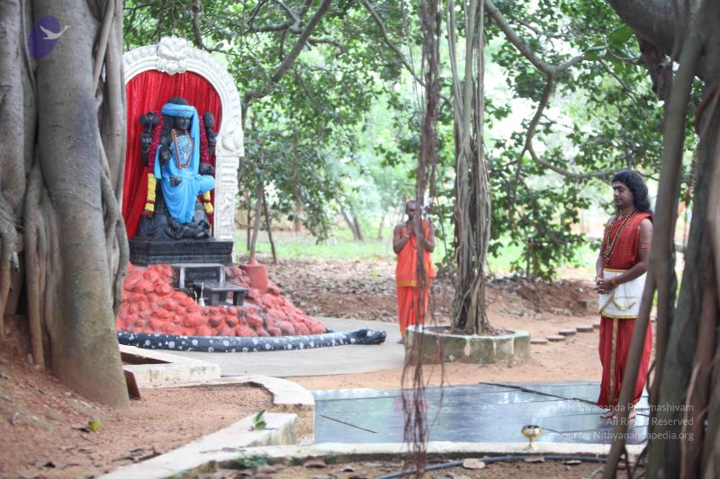 File:20111027 Photo 1022 1d788lD2rp9hW2j-m-oL5t0joNK7DFPGN.JPG