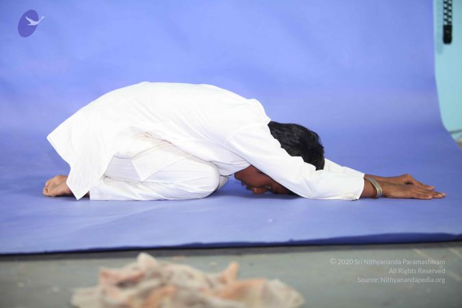 20111029 Photo 1599 1KkYpby--QPqb8DoQIzhejqb6HUZvNGa .JPG