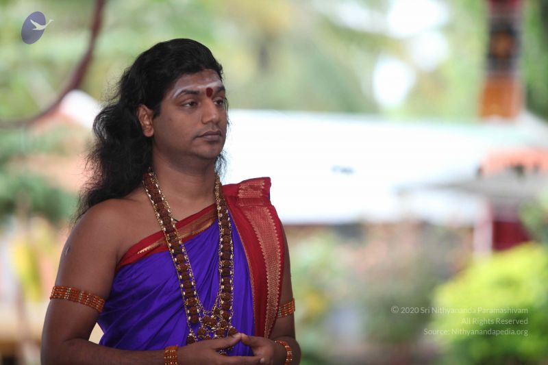 File:20111030 Photo 1009 1kvpRSRbhmFxkahKMAEnmsjnceDP5swam.JPG