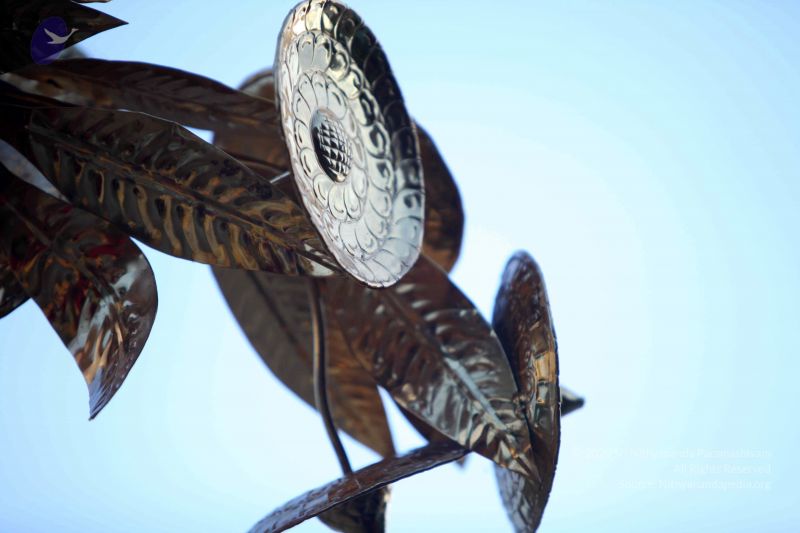 File:20111030 Photo 1206 1Ga6uAYwd-BNS5y3Sl0Q0NUILnNKTNZ D.JPG