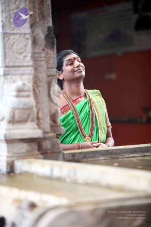 20111101IMG 8005 CMP WM001.jpg