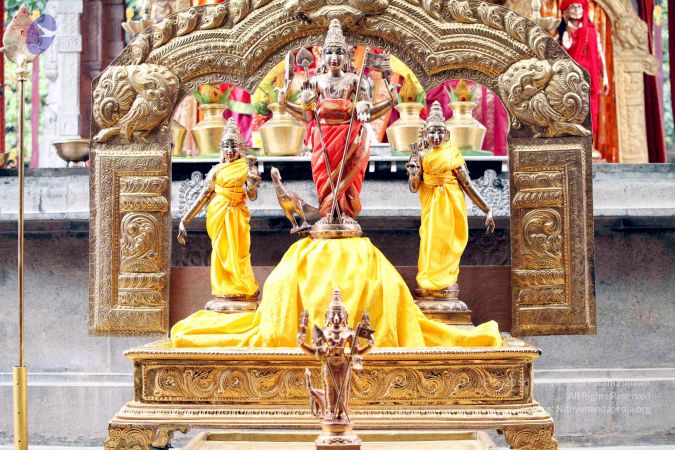 20111101IMG 8224 CMP WM001.jpg