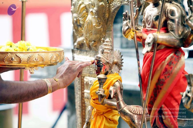 20111101IMG 8228 CMP WM001.jpg