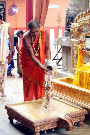 20111101IMG 8241 CMP WM001.jpg