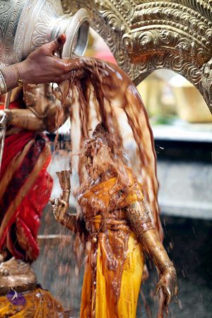 20111101IMG 8250 CMP WM001.jpg