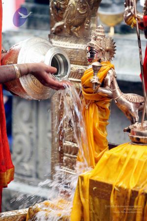 20111101IMG 8267 CMP WM001.jpg