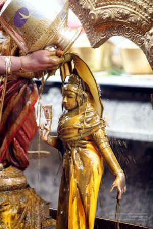 20111101IMG 8278 CMP WM001.jpg