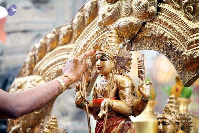 20111101IMG 8284 CMP WM001.jpg