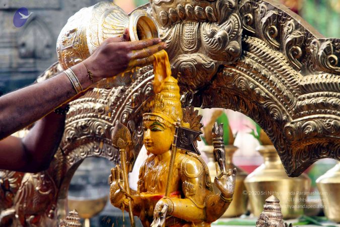 20111101IMG 8296 CMP WM001.jpg