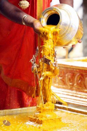 20111101IMG 8300 CMP WM001.jpg