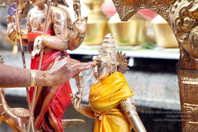 20111101IMG 8344 CMP WM001.jpg