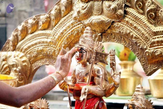 20111101IMG 8406 CMP WM001.jpg