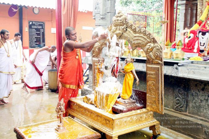 20111101IMG 8416 CMP WM001.jpg