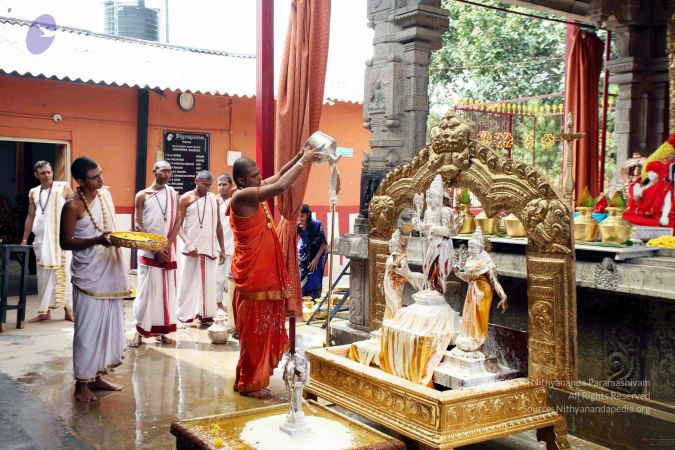 20111101IMG 8420 CMP WM001.jpg