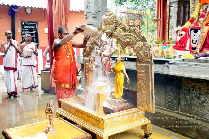 20111101IMG 8457 CMP WM001.jpg