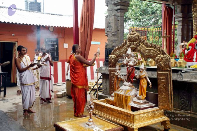 20111101IMG 8468 CMP WM001.jpg