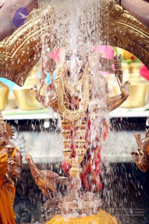 20111101IMG 8498 CMP WM001.jpg