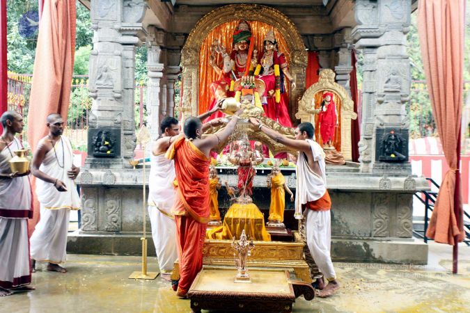 20111101IMG 8514 CMP WM001.jpg