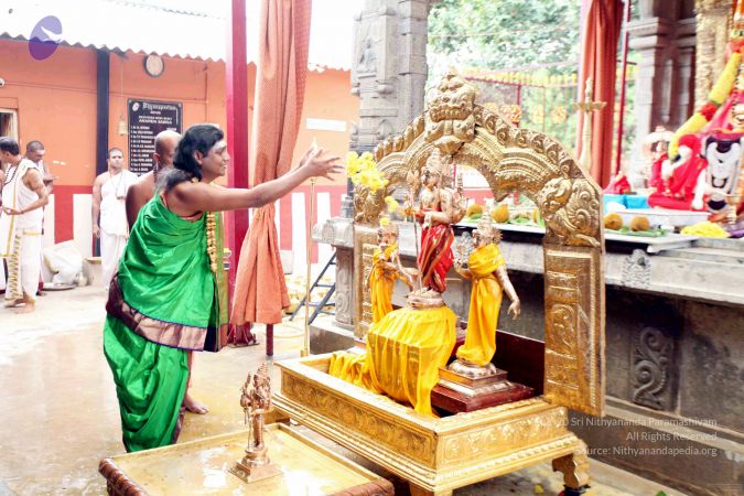 20111101IMG 8567 CMP WM001.jpg