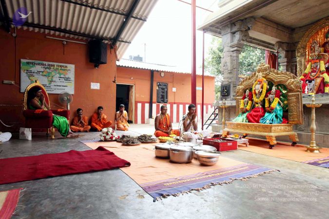 20111101IMG 8615 CMP WM00100.jpg