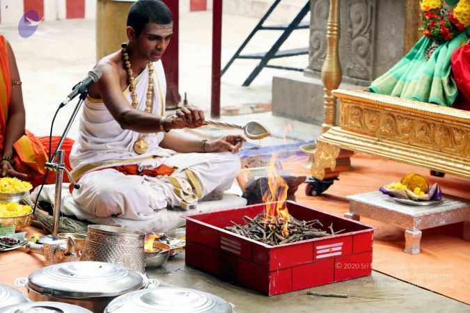 20111101IMG 8641 CMP WM00100.jpg