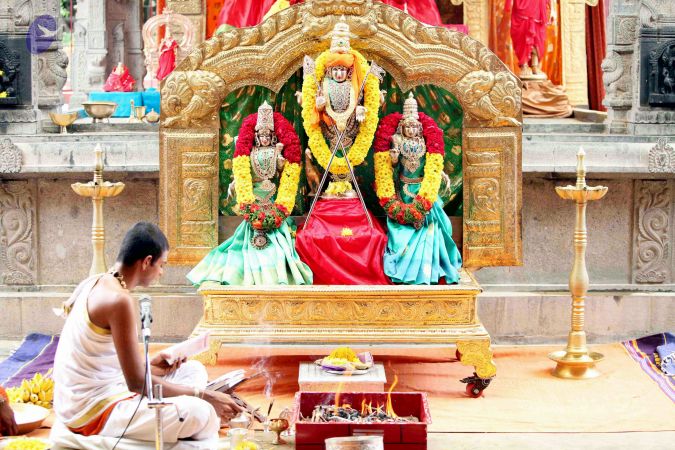 20111101IMG 8654 CMP WM00100.jpg