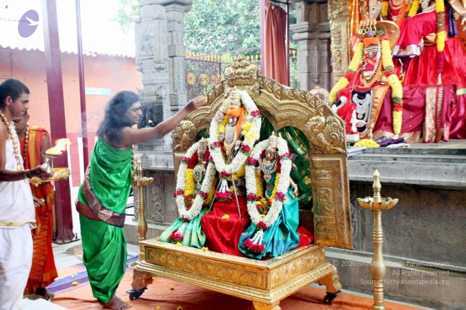 20111101IMG 8732 CMP WM00100.jpg