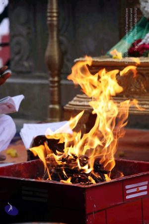 20111101IMG 8767 CMP WM00100.jpg