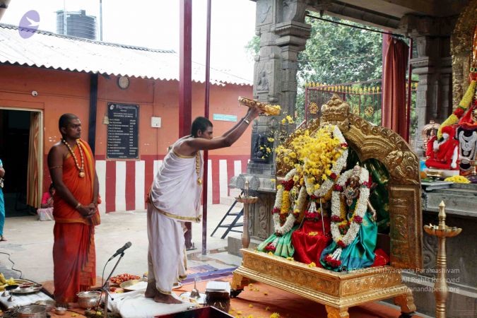 20111101IMG 8823 CMP WM00100.jpg