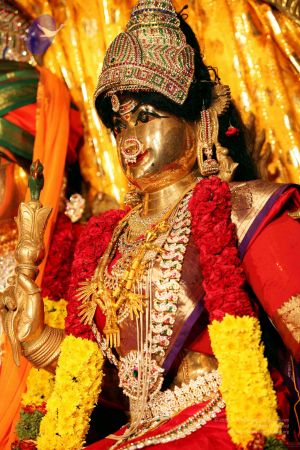 20111101IMG 8861 CMP WM001.jpg