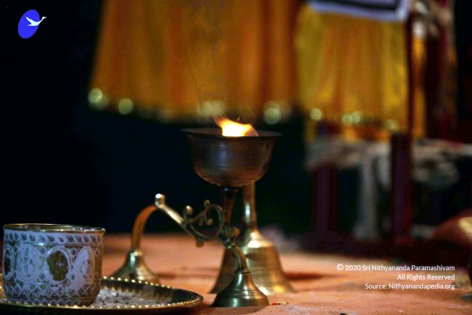 20111101IMG 8957 CMP WM00100.jpg