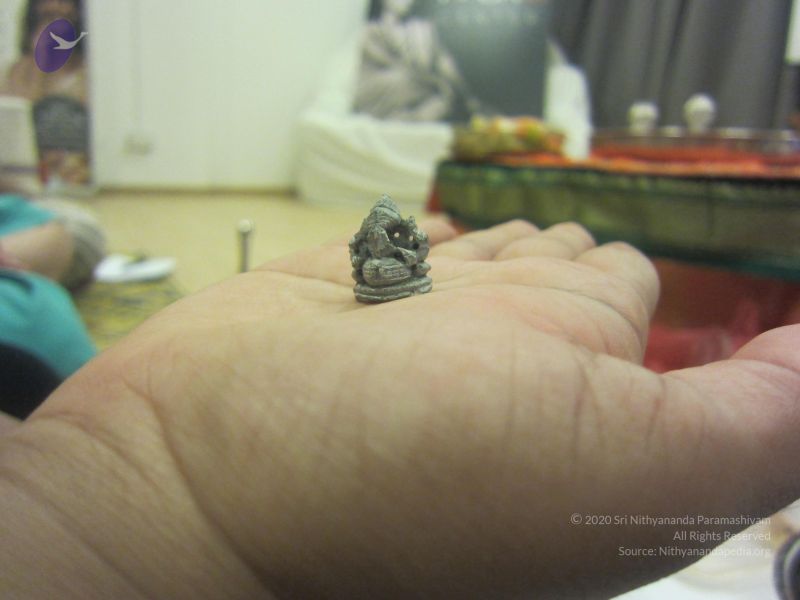 File:20111102 Photo 1000 1Fb6SyNqTLgNPFB2GFUeSRzWjwSCpy43V.JPG