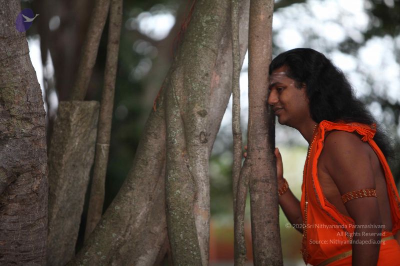 File:20111102 Photo 1002 1Y JSIgikQyqKBEVj62PVXuEUHssjSIBY.JPG