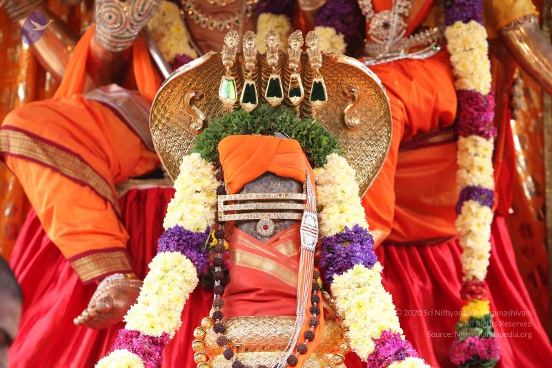 File:20111102 Photo 1010 15FMEXx6YSGJGr2udAyV5xwjfTFYz7aL-.JPG