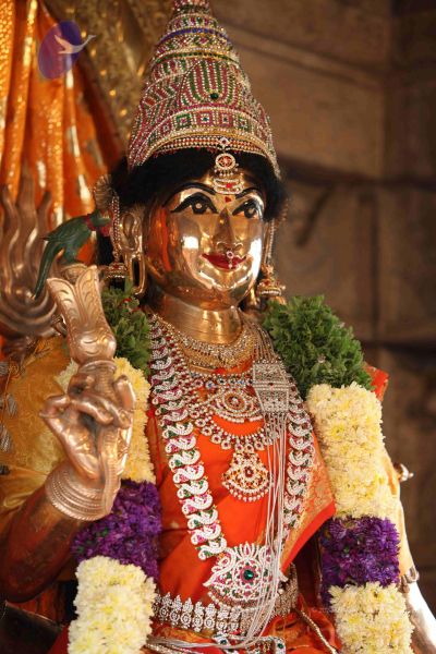 File:20111102 Photo 1011 1zSbNtWg515eIGSb1eJqb5t9nRNyvmljx.JPG