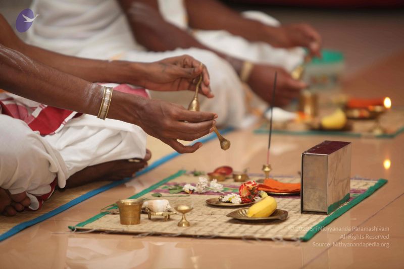 File:20111102 Photo 1015 1-lnKcvxkm8S4XHZhbGbrHsCSu33wxBNs.JPG