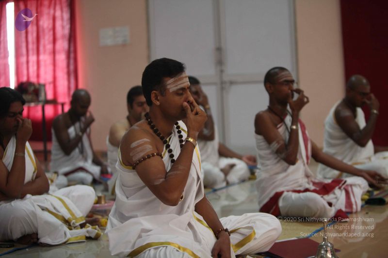 File:20111102 Photo 1045 11gBRYBRdLUb0kjTh00QS8tscP1uXRsRN.JPG