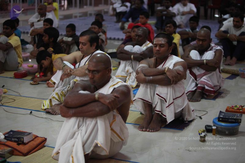 File:20111102 Photo 1052 150DkupmO4C037fX1Ccqy5Wy9PhNIDc3p.JPG