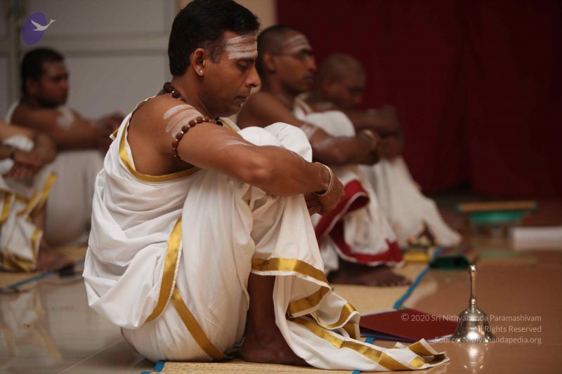 File:20111102 Photo 1054 1xPY6VX A4j0cx11cyXOrGJAP14XRKa-8.JPG