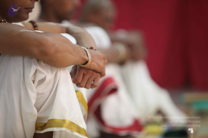 File:20111102 Photo 1056 1oeOJrPbefZSSiCzq15GjCJr16D tthg5.JPG