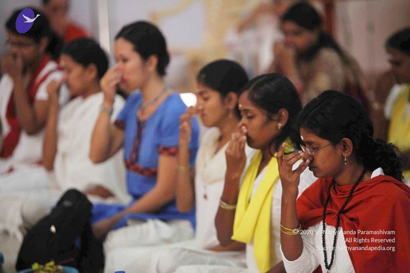 File:20111102 Photo 1060 1vQGsRQokpGZ6DOxLZDaWNgeqbHZl99HO.JPG