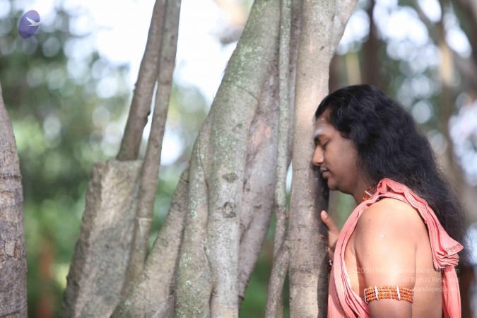 20111103 Photo 1052 145DlYNXwNtCoWB--XzLs59T20SJvS0Gg.JPG